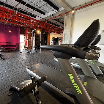 zona gimnasio inside